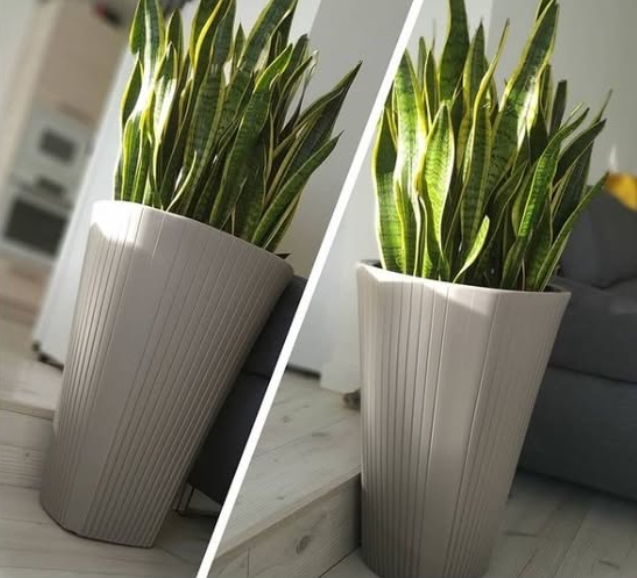 LAMELA MUZA květináče